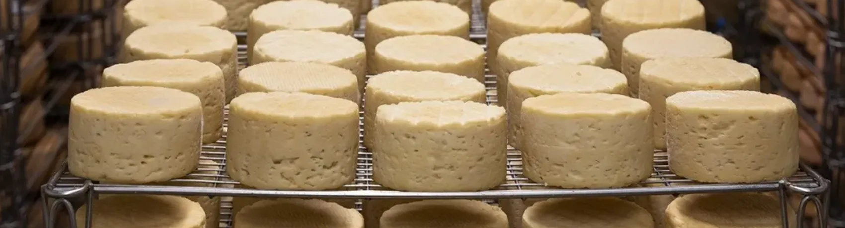 almacenaje-queso-artesano